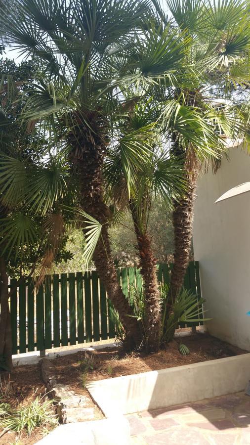 Villa Chabola Dénia Extérieur photo