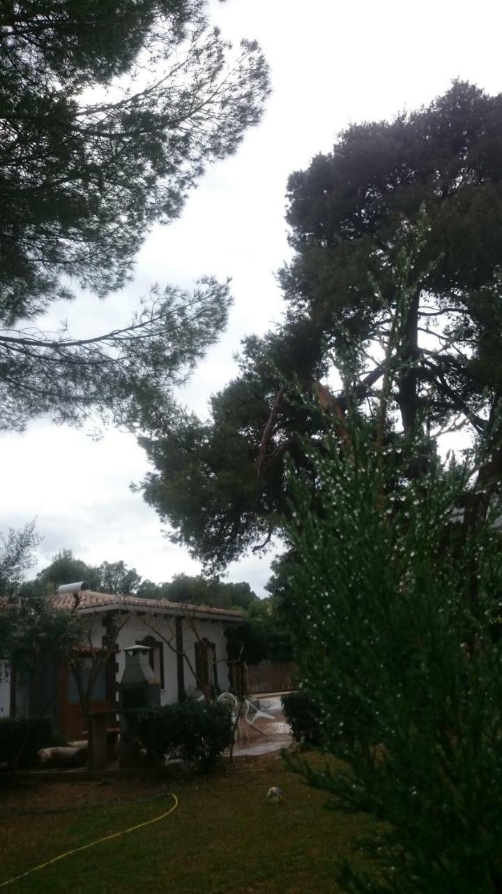 Villa Chabola Dénia Extérieur photo
